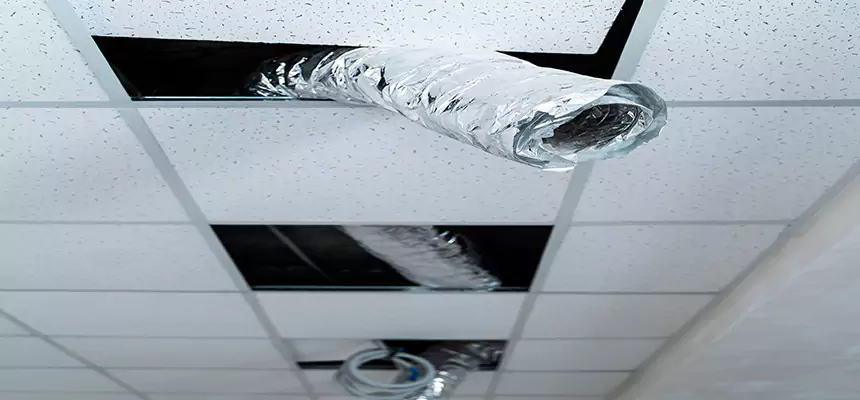 Affordable HVAC Sanitizing After Pest Removal in Delano