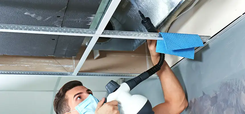 Our Air Duct Rodent Removal Services in Delano, CA