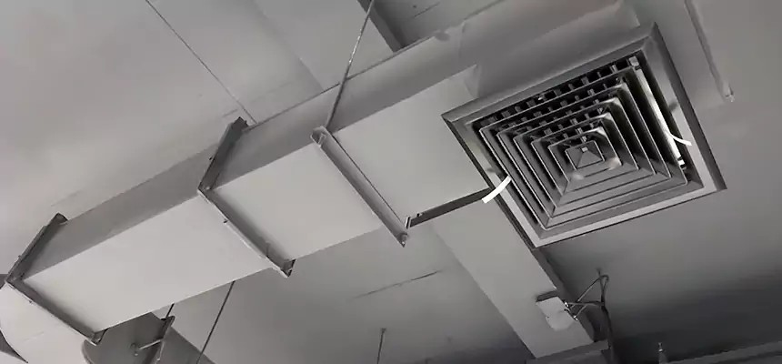 Restorative Allergy Relief Vent Cleaning – Coil, Blower & Housing Detail in Delano