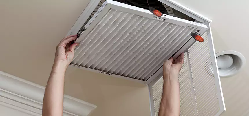 Our Insect Removal from Air Ducts Services in Delano, CA