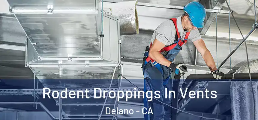  Rodent Droppings In Vents Delano - CA