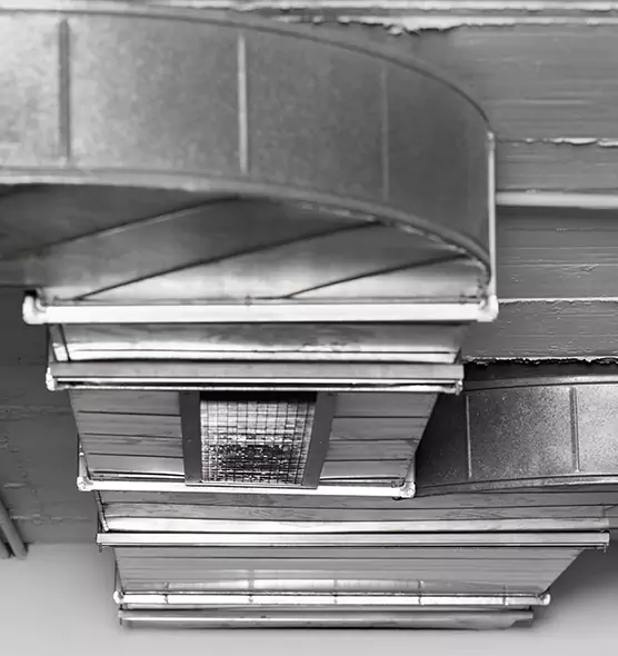 Professional Air Duct Pet Hair Removal in Delano, CA