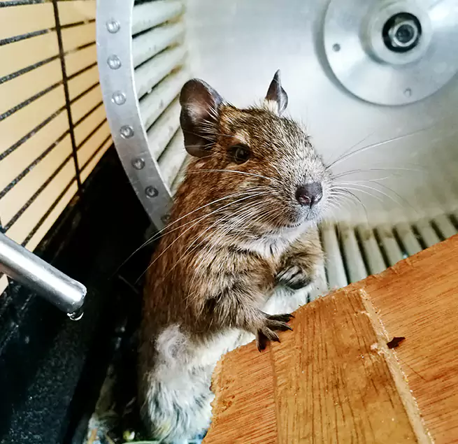 Why Homeowners & Businesses Trust Us Delano, CA